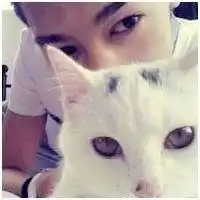  好看的抱着猫咪的情侣头像一男一女