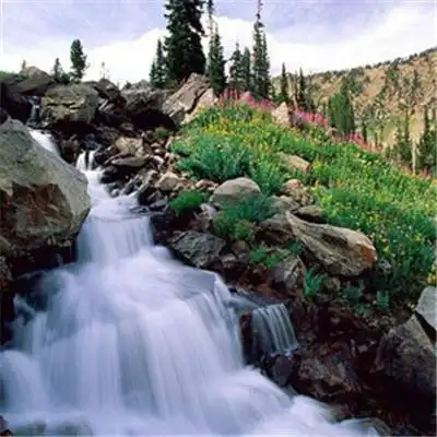  爱游戏登录注册中国官方网站ios安卓通用版手机app下载