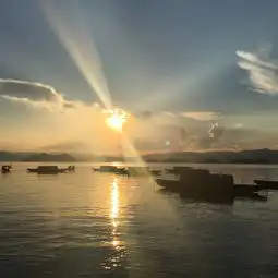  当你老了,我依然爱你莫干山杭州千岛湖自驾七日游