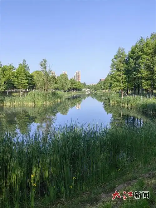 温暖的意境