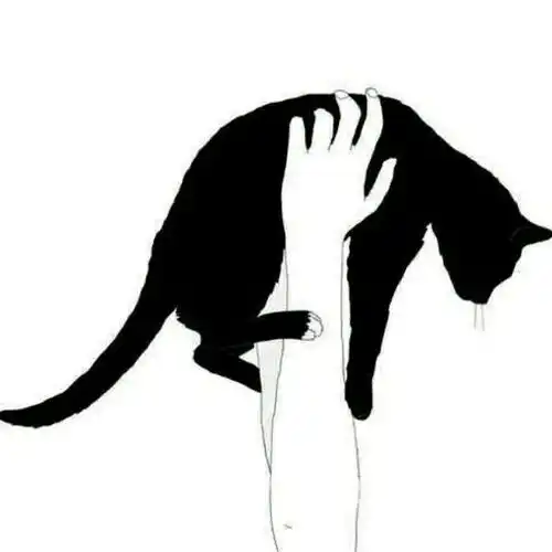 一只手托着一个猫貌似是一个情侣头像如果是情侣头像求另一张图