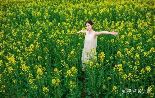  女生花海人像摄影姿势分享,姿势都很简约不做作,拍照花美人也美