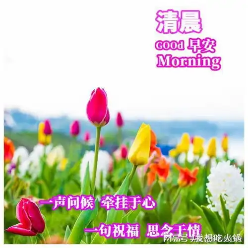  生活就像是一杯烈酒