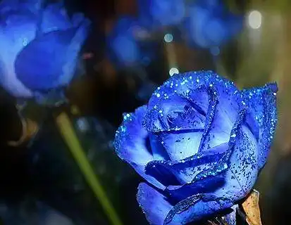  这三大生肖2022年1月元旦好运无敌,他们的运势将会成为1月最强