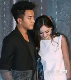  黄晓明baby杨幂刘恺威谢娜张杰明星情侣合照