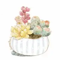  微信头像一盆花微信头像图片大全