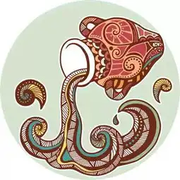  十二星座对于出国留学的看法,看看准不准