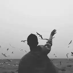  德国战车环绕版