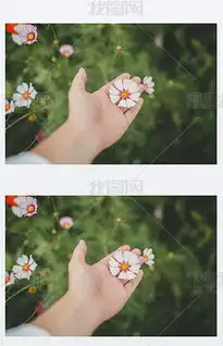  jpg春天鲜花草地jpg格式春天鲜花草地素材图片jpg春天鲜花草地设计模板我图网