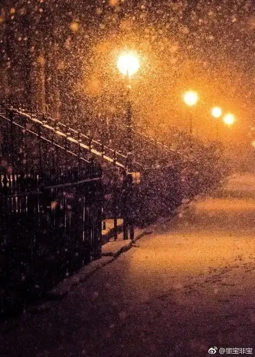  书单愿这爱情没有暴雪只有晴言情