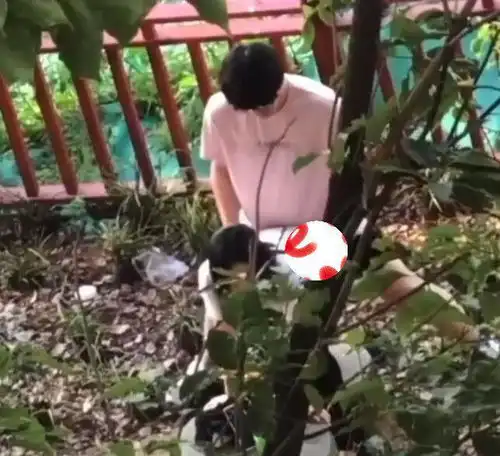  情侣省钱钻进小树林,双方姿势充满遐想,一点不嫌环境脏乱