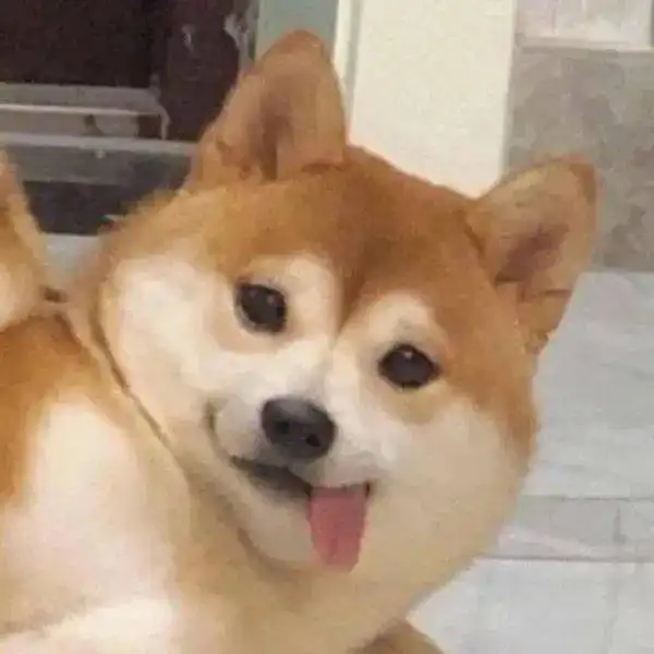  微信头像百里挑一