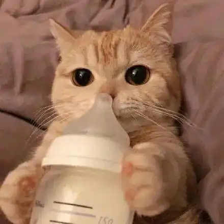  100张男女微信头像