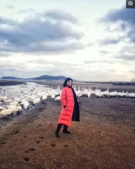 刘晓庆为p皱纹把闺蜜磨成橡皮脸,秀书法狂凹姿势一个字不写