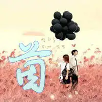  这是情侣用的头像,能不能弄张一模一样的