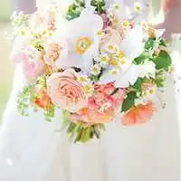  鲜花头像小清新微信头像图片大全