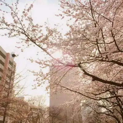  老奶奶真人头像图片七十八十岁老人头像