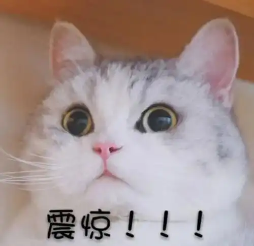  巨丑巨便宜巨好用的护肤护发老国货知知都知道