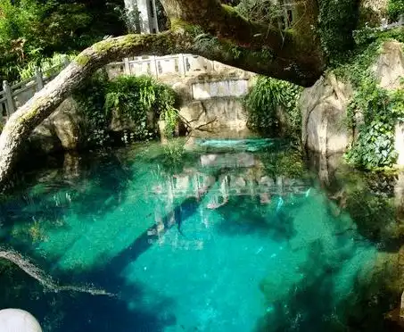  七夕国内适合情侣出游的10大旅游胜地