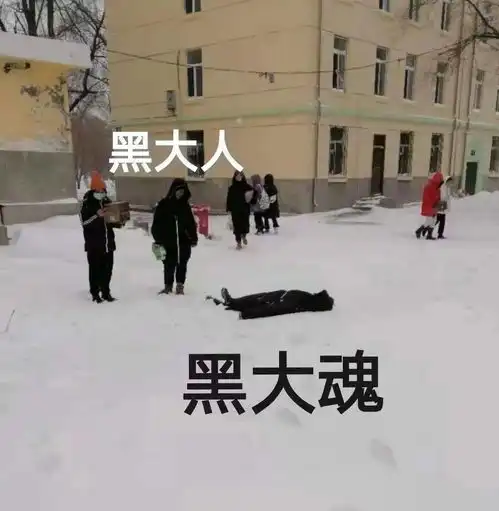  第一场大雪难道这就是北方吗