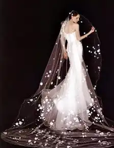 口红是一时的春药,婚纱是一辈子的春药