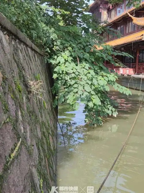  突发凌晨杭州运河边一对情侣落水民警和路人下水救人疑似触电被送医女生不幸身亡