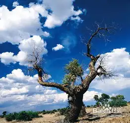  风景摄影的拍摄秘诀