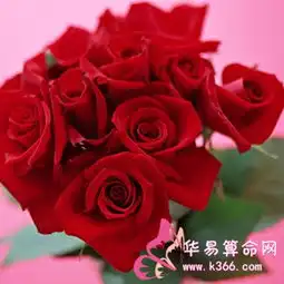  双子座对待父母的正确态度