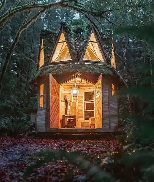  森林深处徒手建家,这对情侣裸辞后的生活羡慕哭900万人