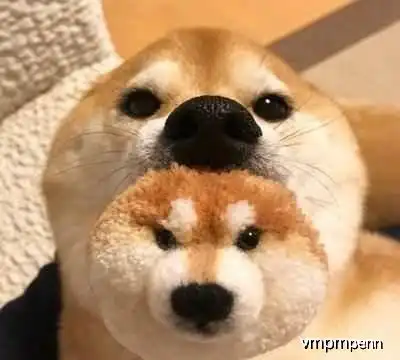  爆笑段子眷恋一座城市,是爱上了这座城,还是爱上了这座城的人