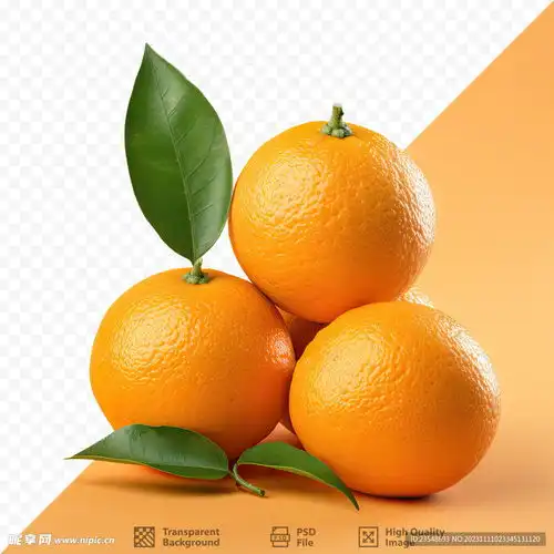 橘子设计图