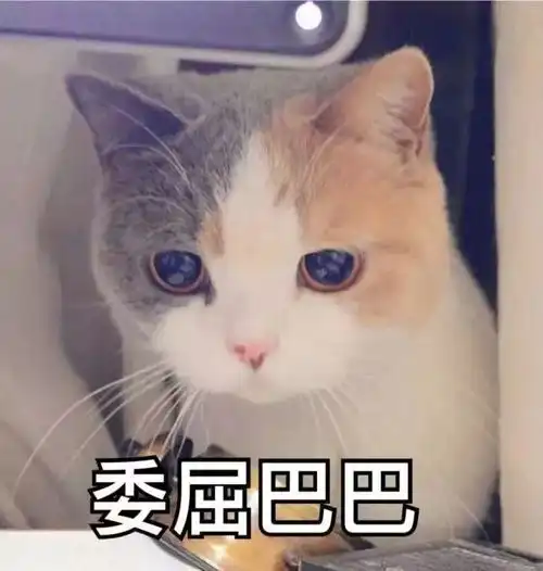 春节只有3天假广安人挺住2018年放假时间表公布啦