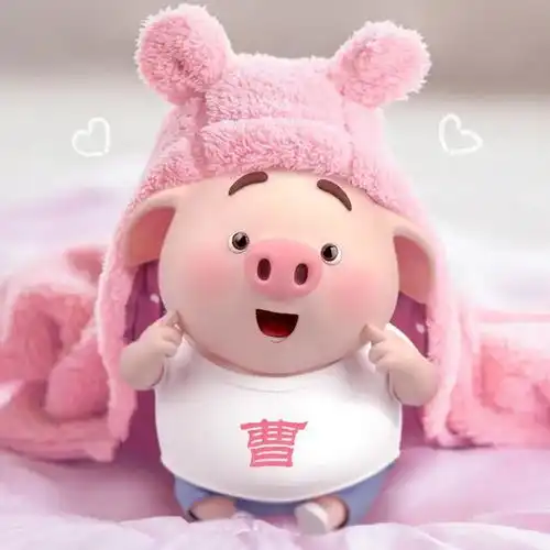  福利丨猪小屁超萌的姓氏微信头像50多个,来找找你的姓氏吧