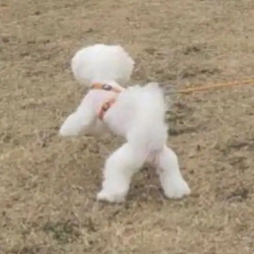  有什么低调不易看出的情侣头像