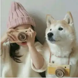 求个情侣头像