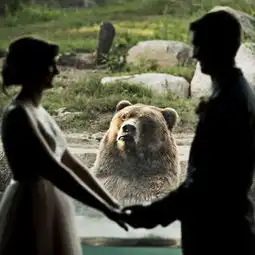  一对情侣在动物园秀恩爱,熊的表情亮了