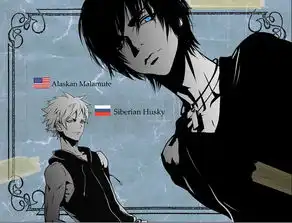  阿拉斯加雪橇和哈士奇