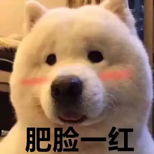 活动回顾花开迎朝阳,职等你来