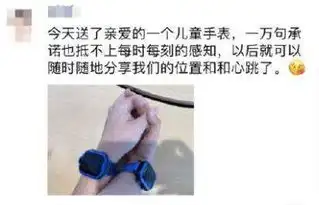 社会中部纵览