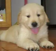  黄页88高清图片