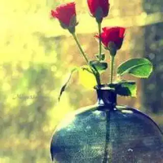  微信送来你的消息