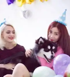  杠上了王思聪再手撕黄子韬