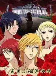  完美小姐进化论动漫在线观看动画片完美小姐进化论动漫mp4全集百度云下载日本动漫幽月动漫网