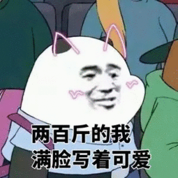 这张图片里的熊叫什么啊