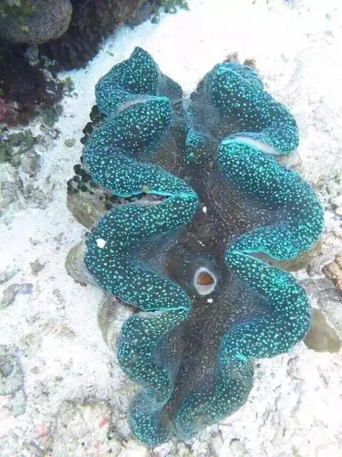 天涯海角我们一起走,三亚闺蜜游