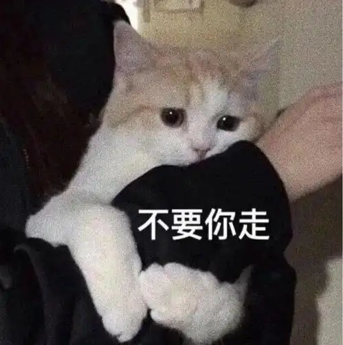 沙雕表情给你的脑子排排水