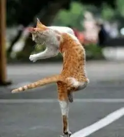  今明两天无天气,只有汽油味和排队