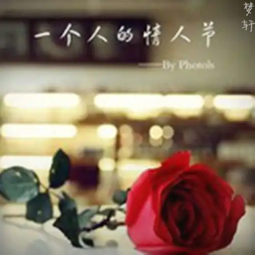  一个人的情人节梦轩高音质在线试听一个人的情人节歌词歌曲下载酷狗音乐