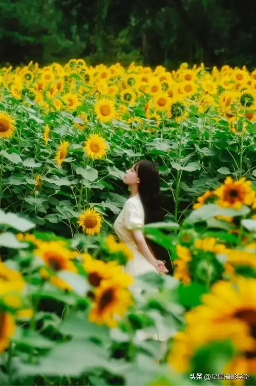  拍花都是人怎么拍今日头条