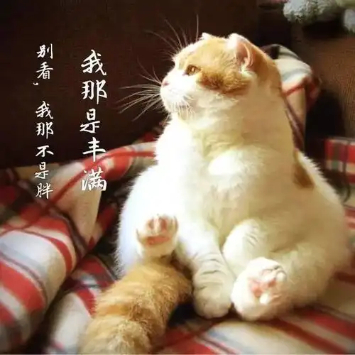 全国最胖和最瘦省份排名出炉河南排在就想问问那些90斤的姑娘,一天都吃多少东西
